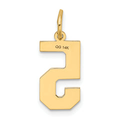 14K Gold Satin Number 5 Charm in Brushed Finish Laser-Cut Medium Size