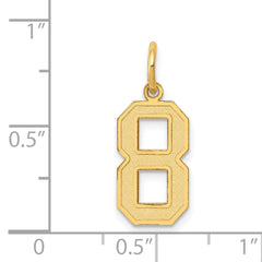 14K Gold Satin Number 8 Charm with Brushed Finish Medium