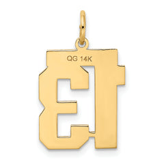 14K Gold Satin Medium Number 13 Charm with Brushed Finish