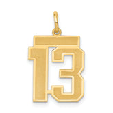 14k Medium Satin Number 13 Charm