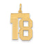 14k Medium Satin Number 18 Charm