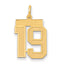 14k Medium Satin Number 19 Charm