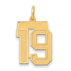 14k Medium Satin Number 19 Charm
