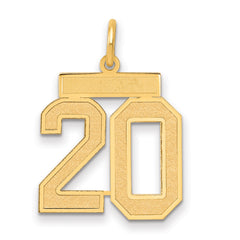 14k Medium Satin Number 20 Charm