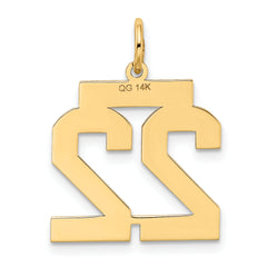 14K Gold Satin Brushed Number 22 Charm Medium Laser-Cut Charm