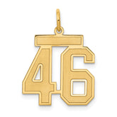14k Medium Satin Number 46 Charm