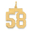 14k Medium Satin Number 58 Charm