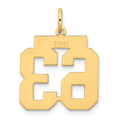 14K Gold Medium Satin Number 63 Charm with Brushed Finish