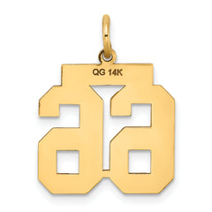14K Gold Satin Number 66 Charm with Brushed Finish Medium