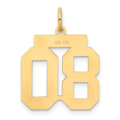 14K Gold Satin Finish Number 80 Charm Medium Brushed