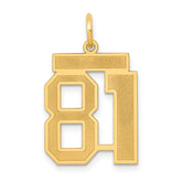 14k Medium Satin Number 81 Charm