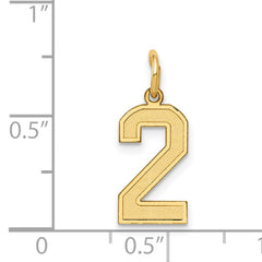 14K Gold Satin Number 2 Charm with Brushed Finish Small