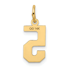 14K Gold Small Satin Number 5 Charm with Brushed Finish