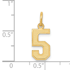14K Gold Small Satin Number 5 Charm with Brushed Finish