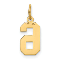 14K Gold Small Satin Number 6 Charm with Brushed Finish