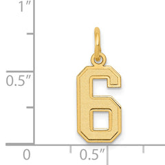 14K Gold Small Satin Number 6 Charm with Brushed Finish