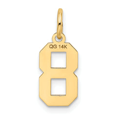 14K Gold Satin Number 8 Charm Laser Cut, Brushed Finish, Small