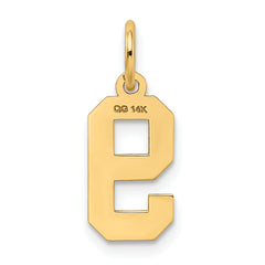 14K Gold Small Satin Number 9 Charm with Brushed Finish Crafted by Sophia Jewelers