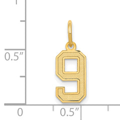 14K Gold Small Satin Number 9 Charm with Brushed Finish Crafted by Sophia Jewelers