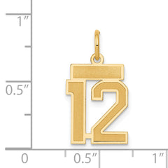 14K Gold Satin Number 12 Charm with Brushed Finish Small & Elegant
