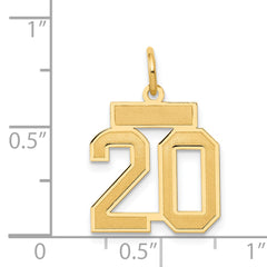 14K Gold Satin Number 20 Charm with Brushed Finish Small Elegant Design