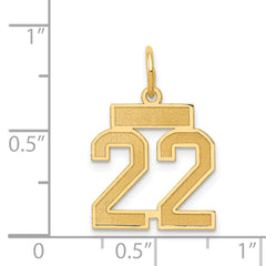 14K Gold Small Satin Number 22 Charm with Brushed Finish