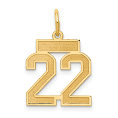 14k Small Satin Number 22 Charm