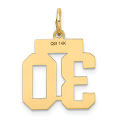 14K Gold Small Satin Number 30 Charm with Brushed Finish