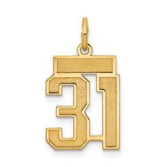 14k Small Satin Number 31 Charm