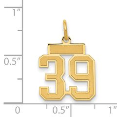 14K Gold Satin Number 39 Charm with Brushed Finish Small