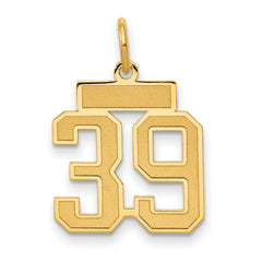 14k Small Satin Number 39 Charm