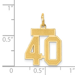 14K Gold Small Satin Number 40 Charm with Brushed Finish