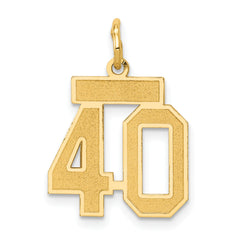 14k Small Satin Number 40 Charm