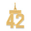14k Small Satin Number 42 Charm