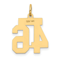 14K Gold Satin Number 46 Charm with Brushed Finish Small