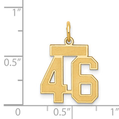 14K Gold Satin Number 46 Charm with Brushed Finish Small