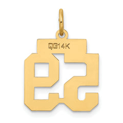 14K Gold Satin Number 59 Charm with Brushed Finish Small, Laser Cut