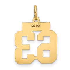 14K Gold Small Satin Number 63 Charm Brushed Finish