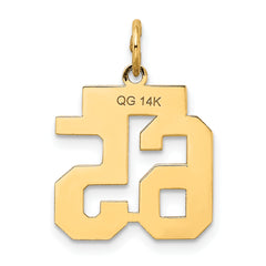 14K Gold Small Satin Number 65 Charm with Brushed Finish