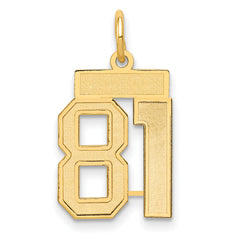 14k Small Satin Number 81 Charm