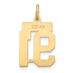14K Gold Satin Number 91 Charm with Brushed Finish Small Elegance