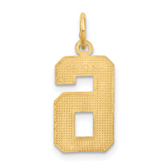 14K Gold Diamond-Cut Number 6 Charm Polished Medium