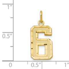 14K Gold Diamond-Cut Number 6 Charm Polished Medium