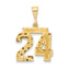 14k Medium Diamond-cut Number 24 Charm