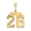 14k Medium Diamond-cut Number 26 Charm