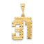 14k Medium Diamond-cut Number 31 Charm