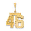 14k Medium Diamond-cut Number 46 Charm