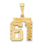 14k Medium Diamond-cut Number 61 Charm