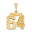 14k Medium Diamond-cut Number 64 Charm