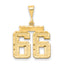 14k Medium Diamond-cut Number 66 Charm